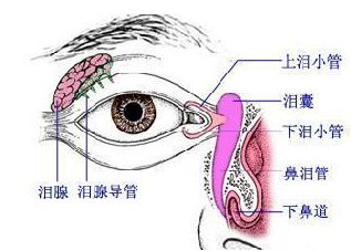 泪道病较主要的治疗手段